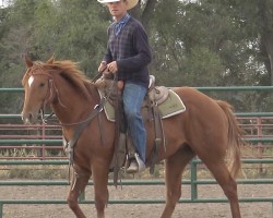 TY HOTCHKISS
Video Sales/Clerk